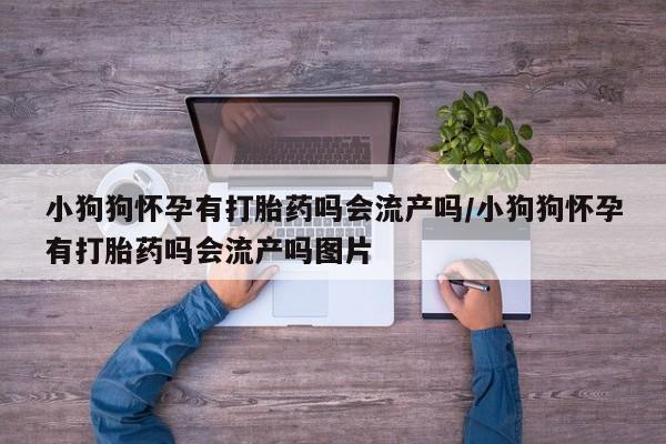 米非司酮片网上购买小狗狗怀孕有打胎药吗会流产吗/小狗狗怀孕有打胎药吗会流产吗图片