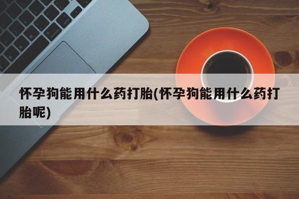 米非司酮片网上购买怀孕狗能用什么药打胎(怀孕狗能用什么药打胎呢)