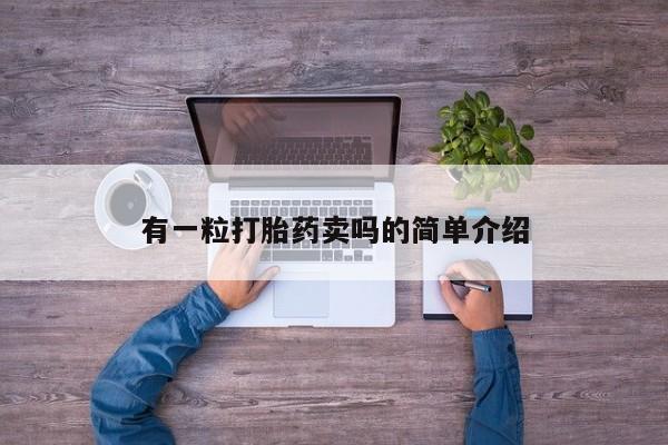 米非司酮片网上购买有一粒打胎药卖吗的简单介绍